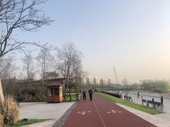 -上海山野camping·户外天幕烧烤·团建拓展营地