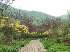 -武汉姚家山旅游景区