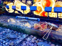 -韩盛·盛江山自助料理(沈辽路万达店)