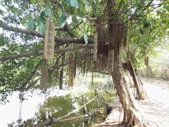 -茂德公草堂