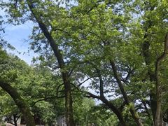 -鹿亭中村