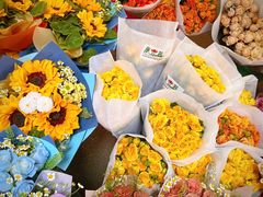 -循礼门鲜花花市(武汉循礼门店)