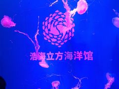 -成都浩海立方海洋公园