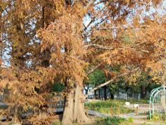 -国家植物园南园