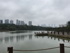 -广西壮族自治区药用植物园