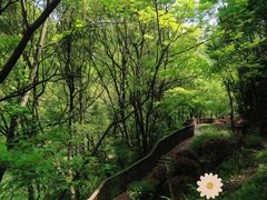 -桃花岭景区