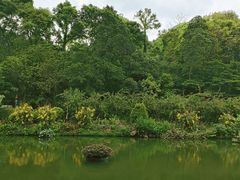 -深圳仙湖植物园