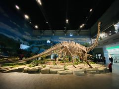 -自贡恐龙博物馆