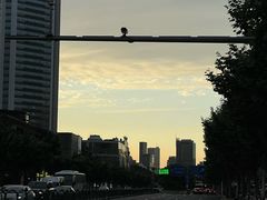 -上海世纪汇广场