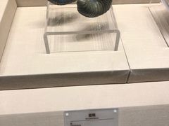 -宁夏博物馆
