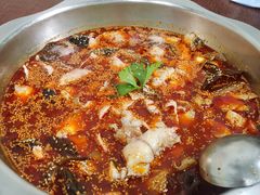 -川渔居—鱼火锅(八方汇店)