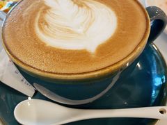-飞行喵MR PILOT|猫舍·猫咖(静安大融城店)