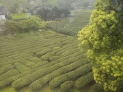 -灵顺寺