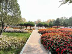 -石家庄市植物园