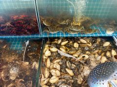 -港畔赶海蒸汽海鲜烧烤自助(仙螺岛店)
