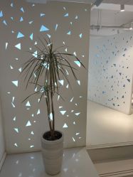 -I+造型烫发染发