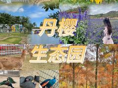 -丹樱生态园