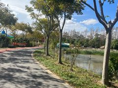 -上海长兴岛郊野公园