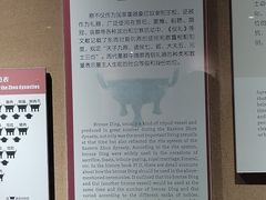 -洛阳周王城天子驾六博物馆