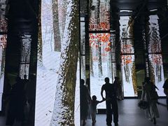 -中国湿地博物馆