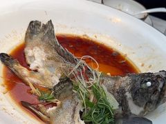 -唐猫庭院·千年陕菜(大唐不夜城店)