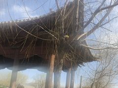 -暖泉古镇