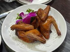 -鸽鸟轩(石岐店)