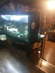 -日月刺青工作室·高端纹身