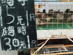 -海吉星市场