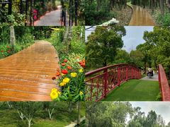 -上海交通大学(闵行校区)