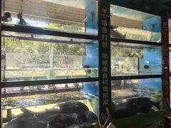 -好灶头妈妈菜·千岛湖土菜地标美食