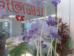 点击看大图 -深圳美莱医疗美容医院