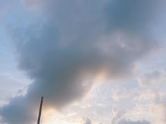 -上海都市菜园