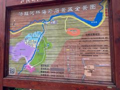 -汤旺河林海奇石景区