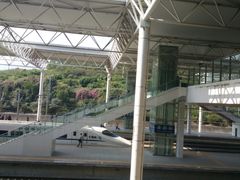 -莆田站