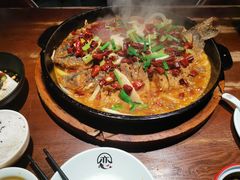 -老板恋上鱼(高新万达店)