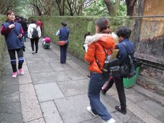 -普陀山风景名胜区-法雨禅寺