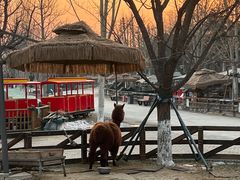 -静之湖湖畔餐厅