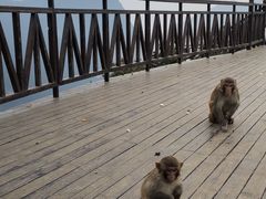 -重庆云阳龙缸景区