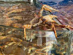 -众彩物流水产市场