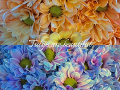 -循礼门鲜花花市(武汉循礼门店)