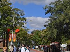 -上海长兴岛郊野公园