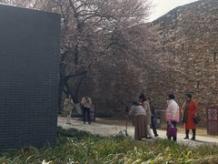 -国际非物质文化遗产博览园