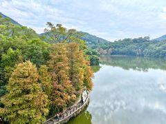 -深圳仙湖植物园