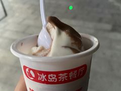 双色冰淇淋-冰岛茶餐厅(世茂店)