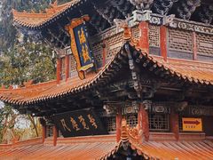 -中国观音故里广德景区