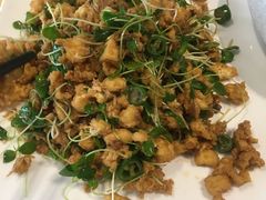 -素虎小呆鸟(西二旗店)