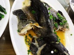 清蒸老虎斑-明记海鲜大排档(巽寮湾店)