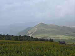 -灵山
