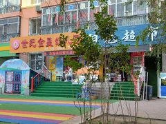 -世纪金星幼儿园(三辅二道街)
